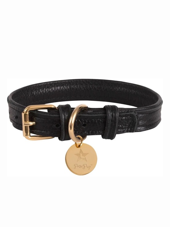 PoisePup Other - NWT PoisePup Dark Knight Leather Dog Collar, XS, Black, 7.1-9.5” Neck, 1/2” Wide